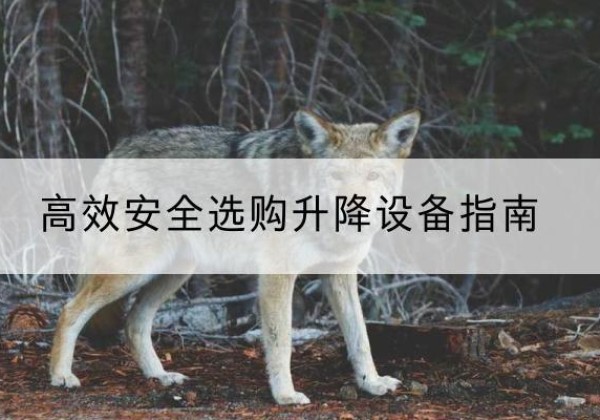 天桥升降货梯厂家推荐-*安全选购升降设备指南