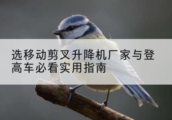 天桥电动升降机厂家-选移动剪叉升降机厂家与登高车必看实用指南
